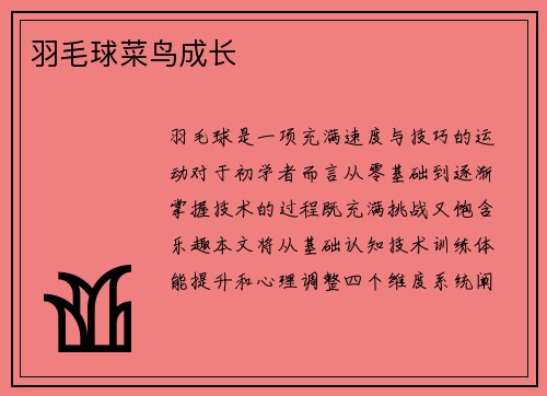 羽毛球菜鸟成长